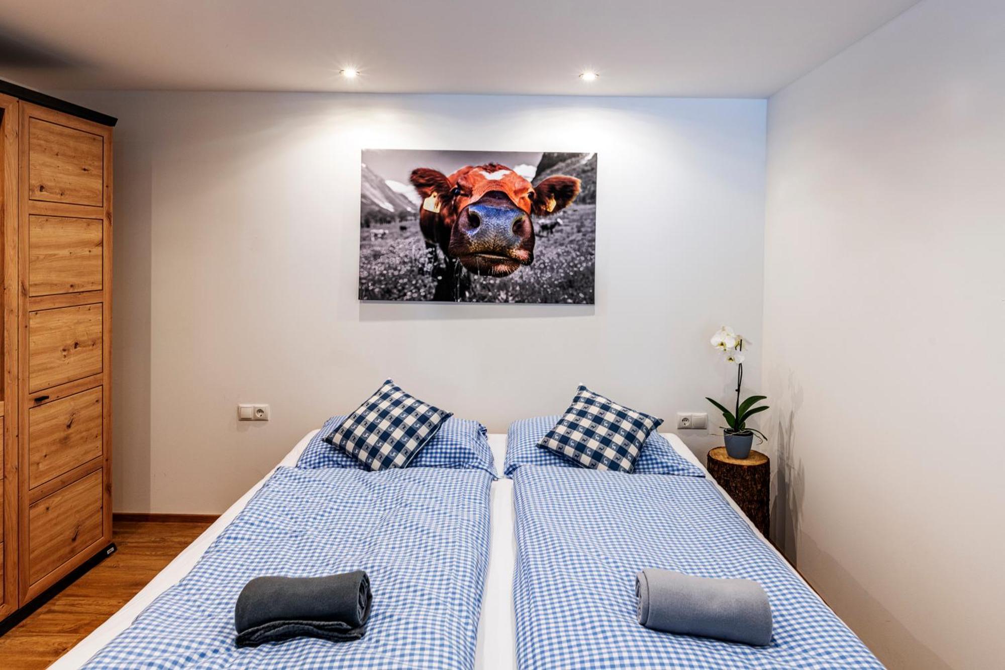 Апартаменты Haus Silvretta Nova Чаггунс Экстерьер фото